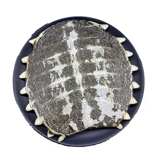 鳖甲中药500g甲鱼盖子非制煎可打粉配青蒿汤其他药食同源食品