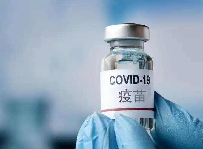 预防犬类恶性肿瘤的疫苗研发,科学家:预期五年内取得显著成效