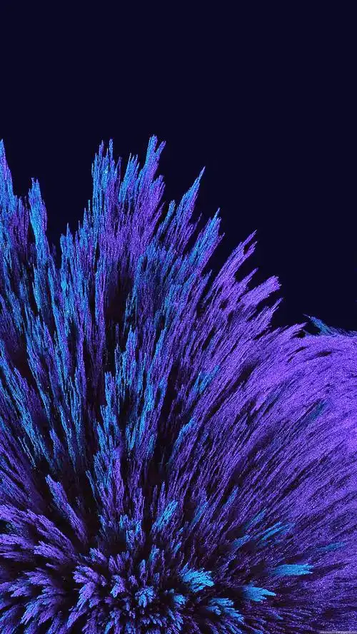 三星手机壁纸【1440x2560】samsung galaxy s6 蓝色 紫色 花朵 羽毛