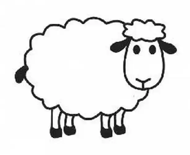 绵羊简笔画可爱小绵羊简笔画图片小绵羊简笔画绵羊简笔画画法绵羊简笔