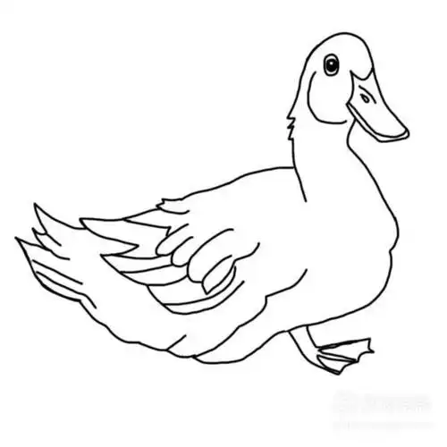 鸭子的脚丫简笔画