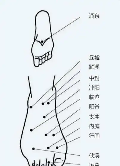 脚背上的穴位图图解 - 搜狗图片搜索