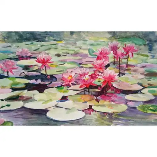 杨阳国画作品《【睡莲】作者杨阳》