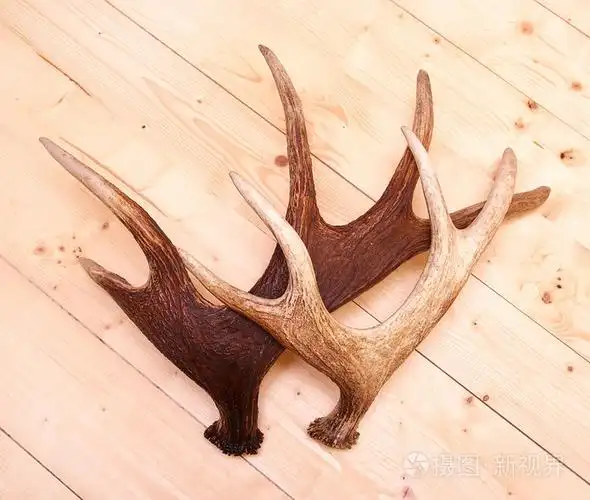 鹿角鹿犄角麋鹿木材