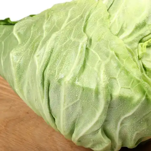 朴愿有机农场有机卷心菜青包菜牛角包600克个