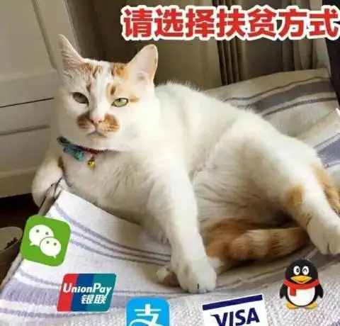 【资源组】美剧鸟(*mod*)v4.4.