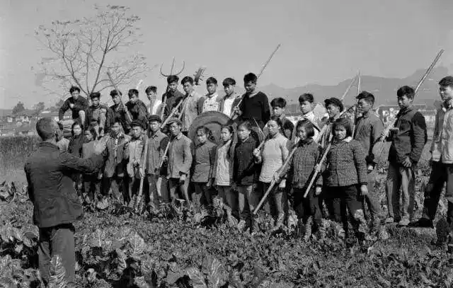 献县生产队时期老照片,热火朝天,怀念啊!_年代