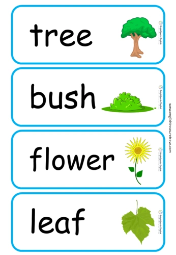 plants english flashcards set 1