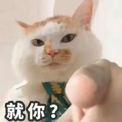 聊天搞笑表情包 i 爱妃 你少说两句话吧_熊猫头_心情_什么