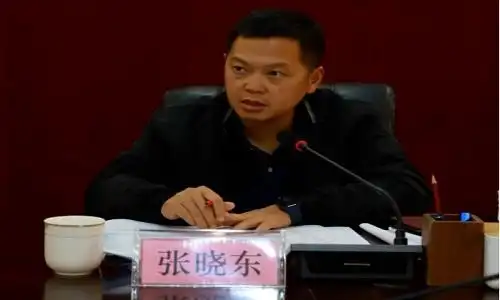 会上,镇党委副书记,镇长张晓东对上级领导调研指示精神和有关会议精神