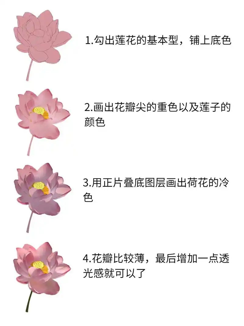 从0到1学画画97莲花的绘制方法.#画画 #一起学画画 #教 - 抖音