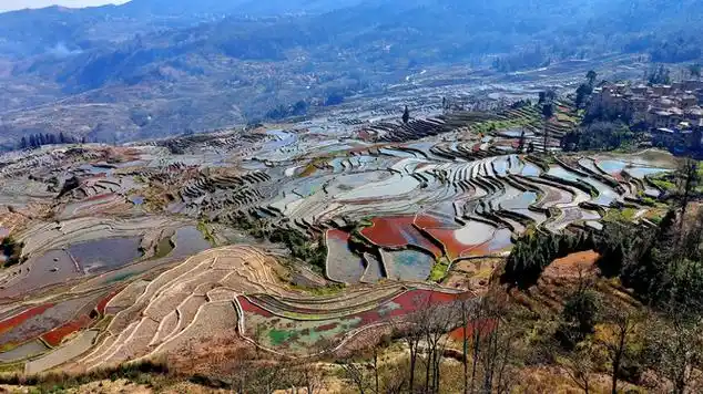 灌水后的元阳哈尼梯田真的是太美了|云南旅游|元阳县|航拍风景|曲风