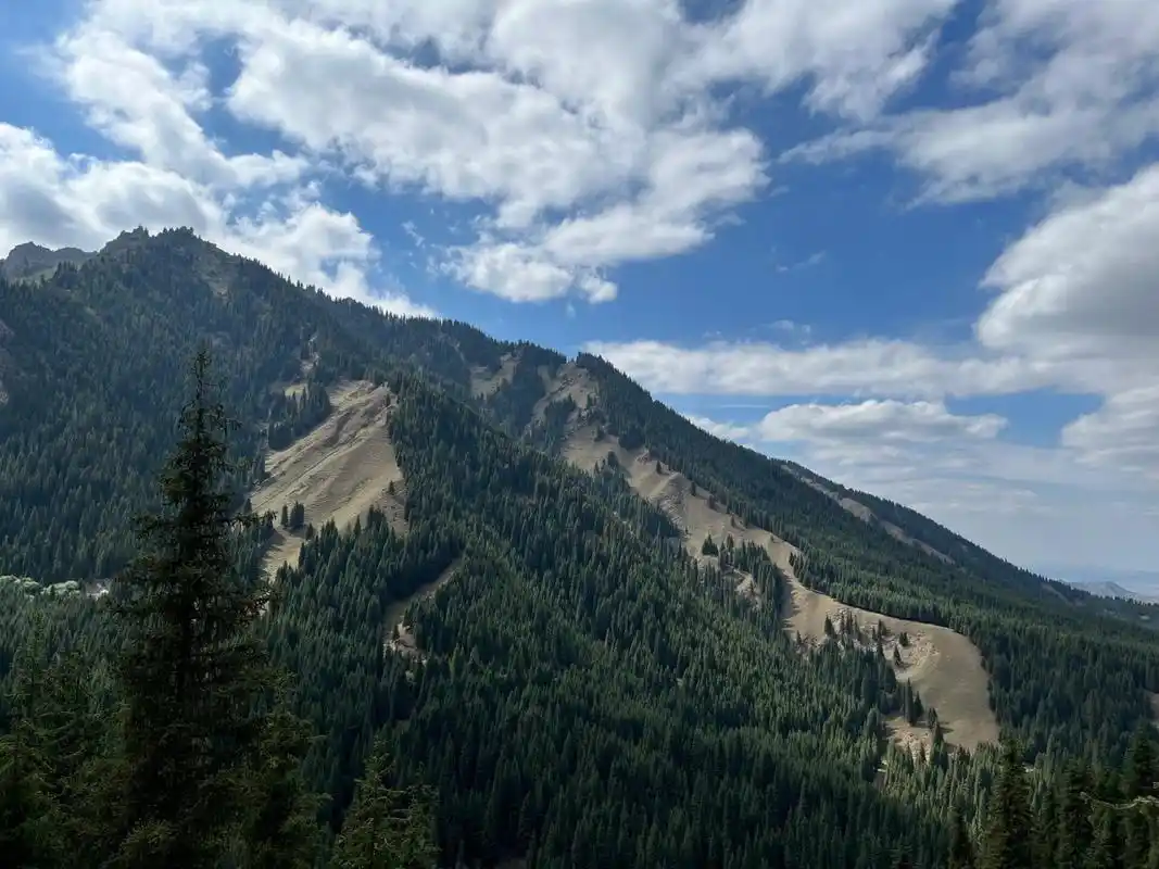 石河子周边一日游攻略(东大塘) 石河子周边一日游～东大塘9999