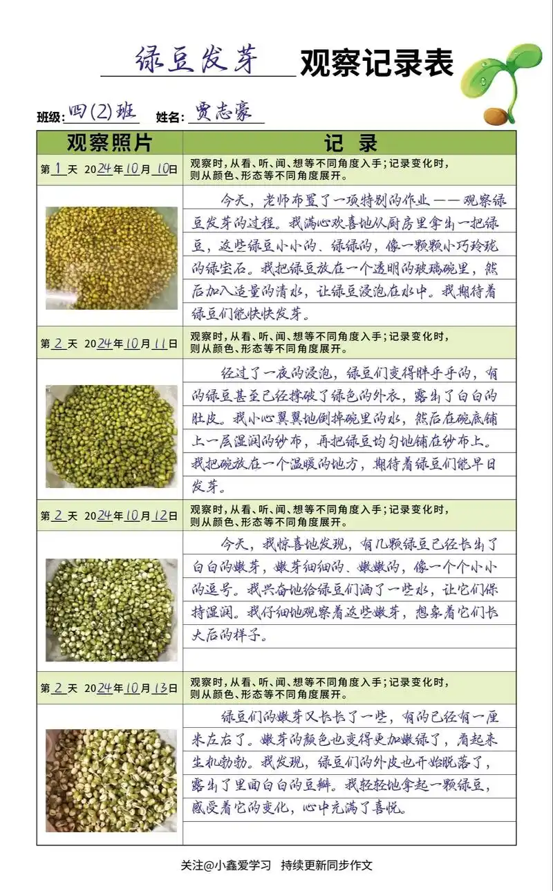 四年级上册观察日记绿豆发芽记.#优秀范文 #小学作文 #观察