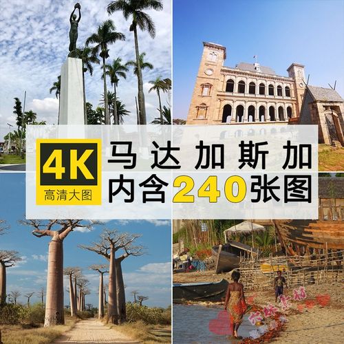 高清图库马达加斯加风光图片环尾狐猴面包树热带雨林动物摄影照片