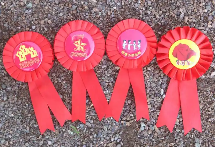 大红花表彰小红花胸花别针小学生幼儿园期末礼物大花朵学校教师奖励