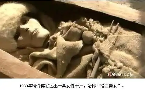 周口清朝干尸惊现于世 震撼挖掘现场曝光
