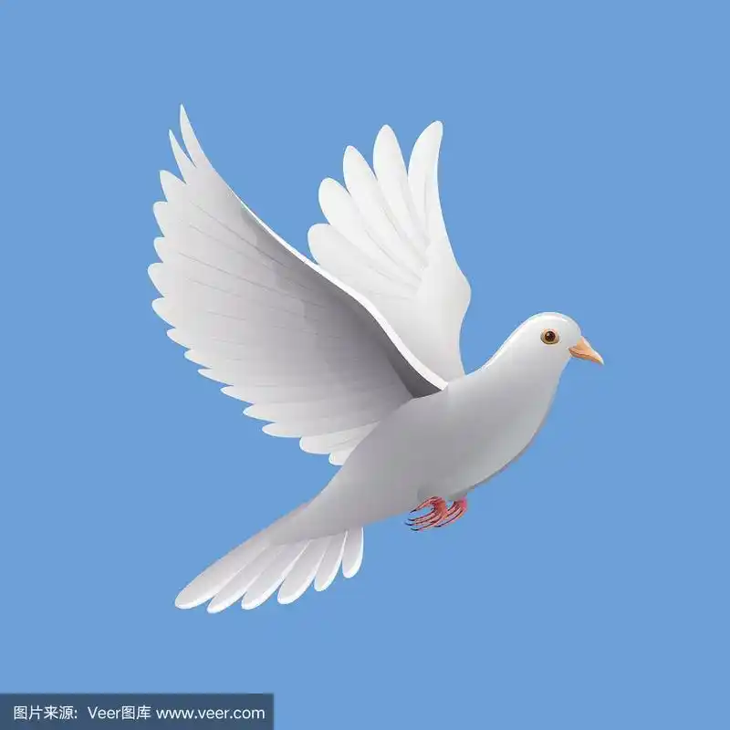 飞翔的鸽子孤立在蓝色的载体上