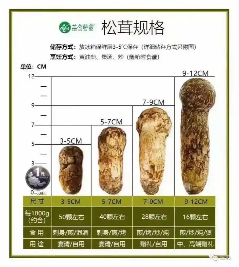 96野生菌出售松茸啦 统货 5-15 厘米 73当天采挖当天发货!