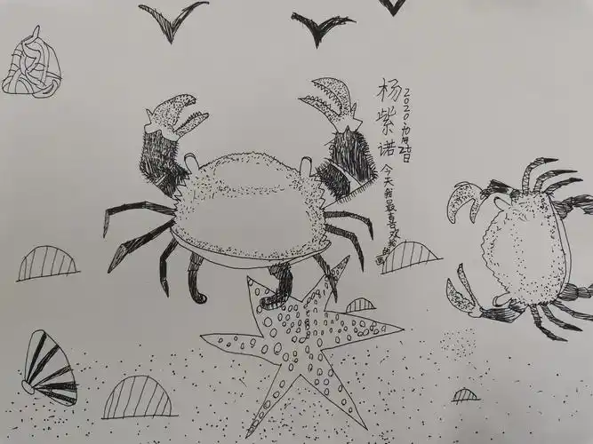其它 喜欢～第一节课 写美篇课题:《速写图片螃蟹》 教学目标: 1,养成