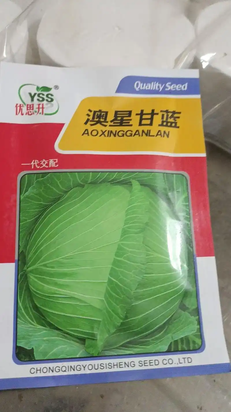 一年一季的甘蓝,青花,散白花育苗工作开始了 - 抖音