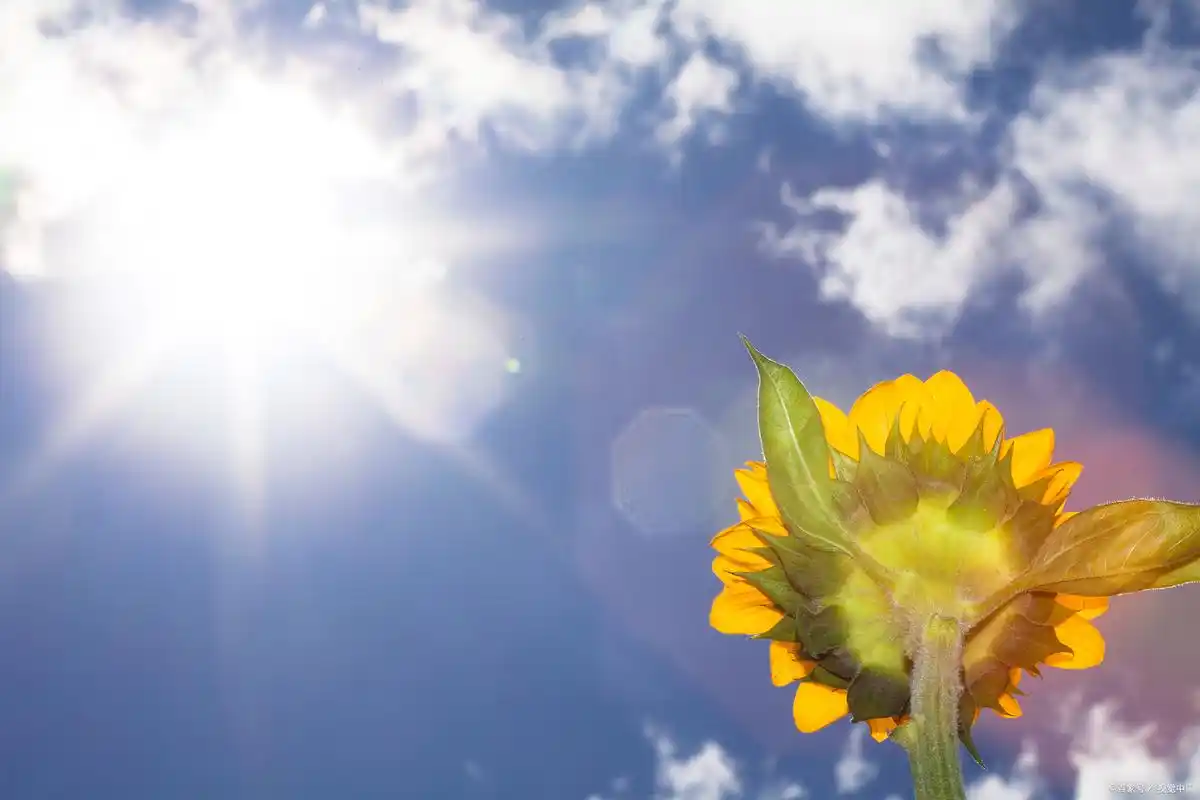 拖延症患者的自白:我与"改天"和"下次"的爱情故事