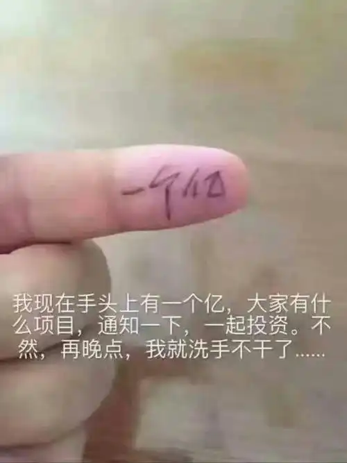 我现在手头上有一个亿大家有什么项目通知一下一起