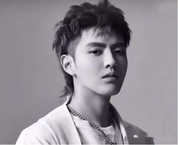 什么样的脸型适合留狼头?_发型