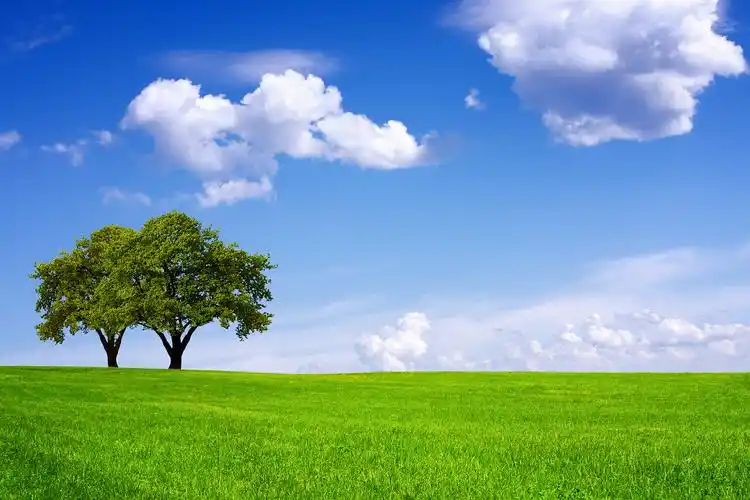 绿色草原草地草坪高尔夫球场蓝天白云