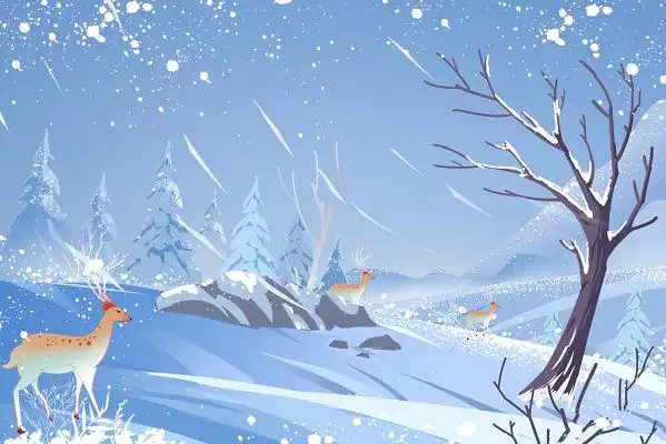 小寒小寒唯美冬天雪景大寒风景