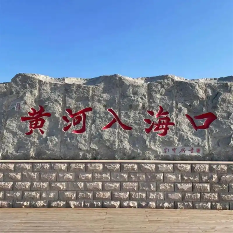 一生来一次黄河入海口,黄蓝交汇处,泾渭分明#东营黄河入海口黄 - 抖音