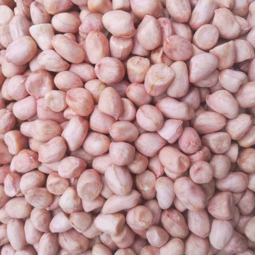 新鲜生花生米去壳白沙大粒花生无壳花生仁粉红皮不带壳花生批发 大