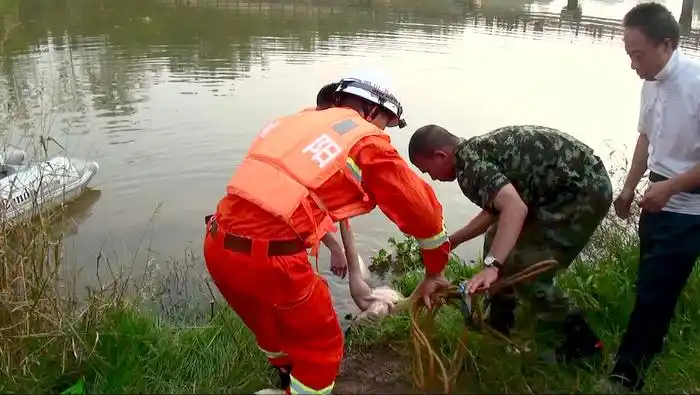 简阳消防成功打捞溺水男孩遗体