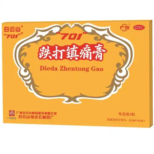 白云山 跌打镇痛膏