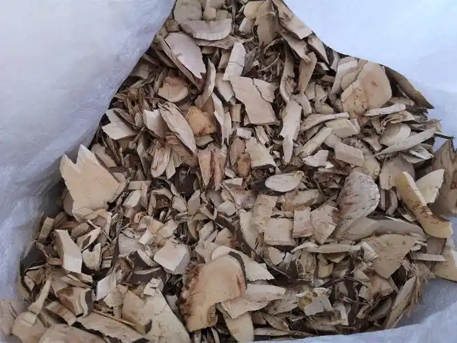 白背叶根的功效与作用白背叶批发价格哪里购买多少钱一公斤