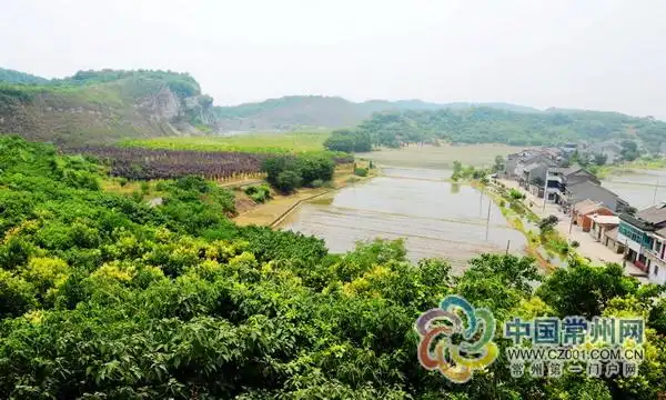 小黄山是常州新北区唯一,全市少见的山地和森林资源,地处孟河镇北部