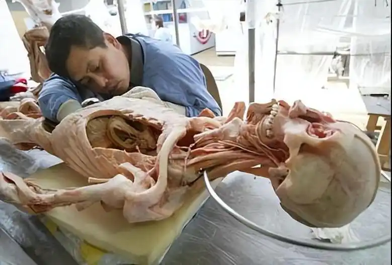 易有料-智能信息流一站式服务平台