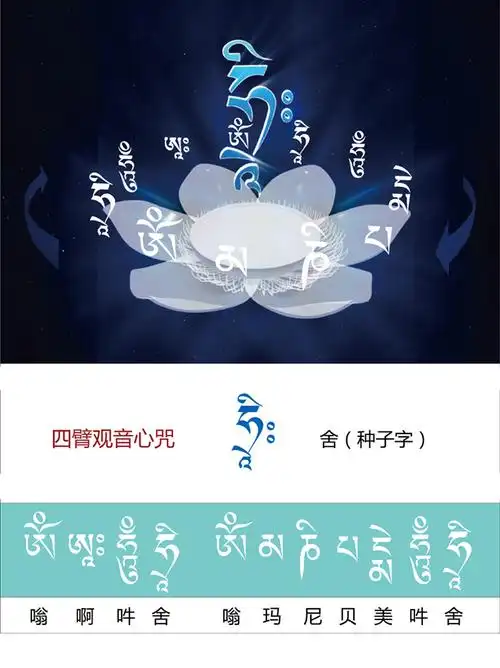 结缘亚青法白莲花四臂观音咒轮种子字舍字观想图画像相纸双面塑封
