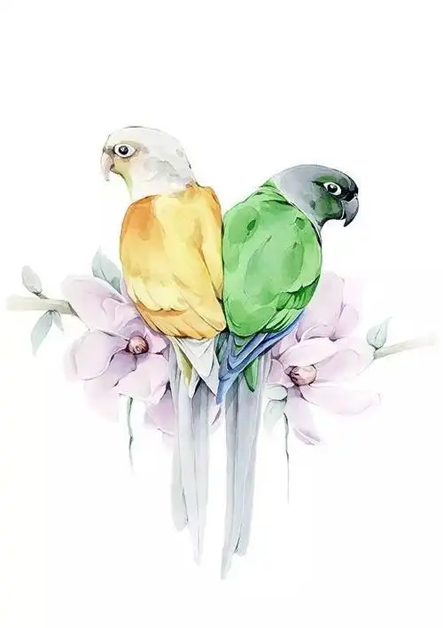 插画师polina bright动物水彩画作品图片