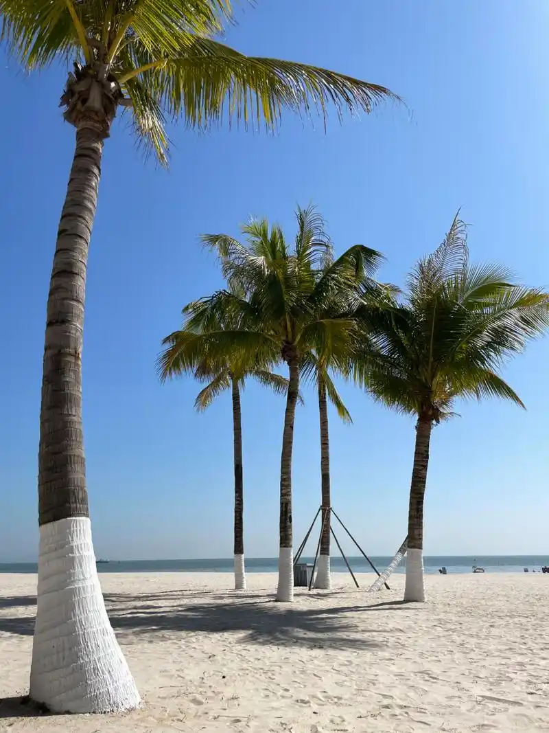 珠海|最美白沙滩 到情侣北路玩 一定一定要到这里逛逛觉得是这条海岸