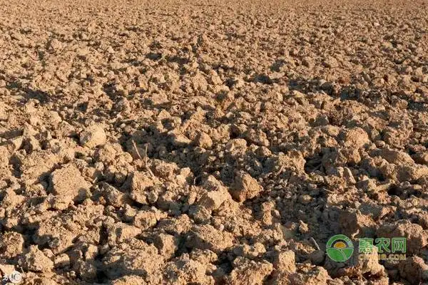 土壤连作障碍的原因分析及抑制技术