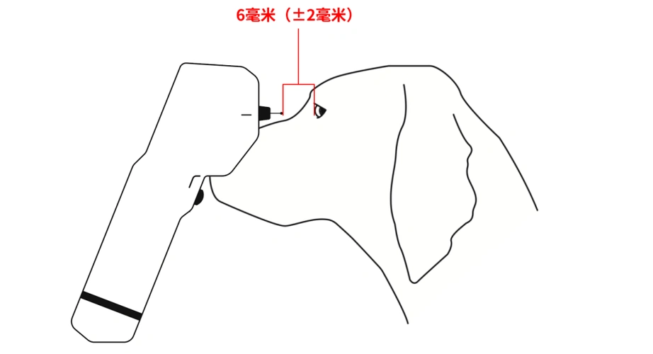 而有眼病的动物,例如原发性青光眼,狗狗大部分都是隅角闭锁型(primary