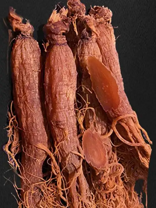 长白山 无糖红参整支-热爱美食的小菜