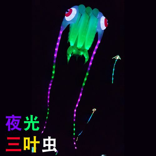 2022新款贴片夜光风筝三叶虫发光可定制加工带电池充电器微风成人