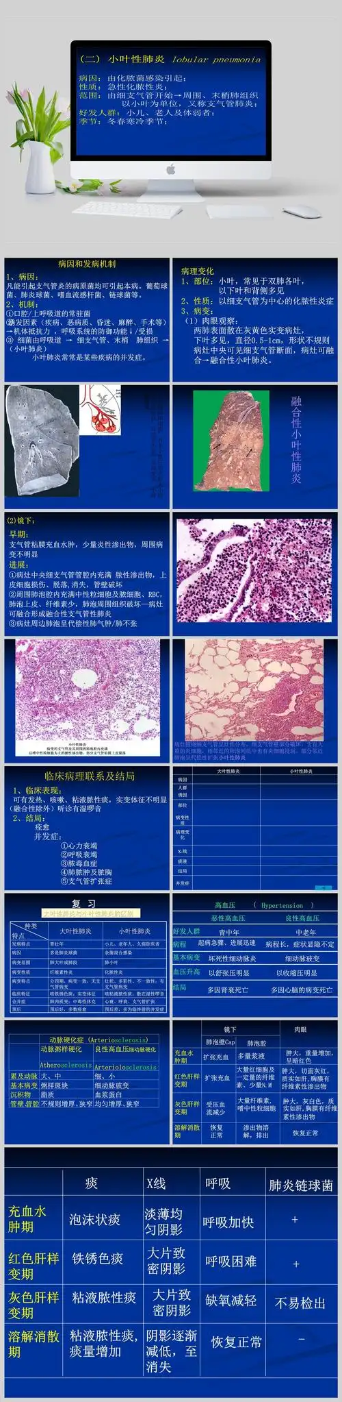 小叶性肺炎病理ppt