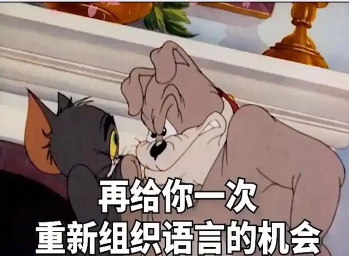再给你一次重新组织语言的机会动漫汤姆猫表情