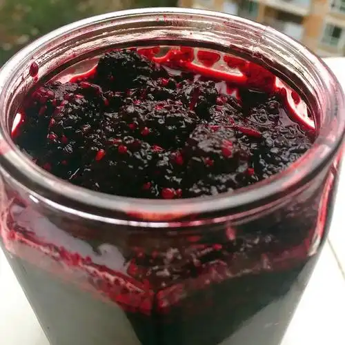 自制桑葚汁的做法