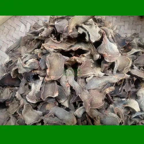 (缺货)三蒸三晒熟狗脊金毛狗脊黄狗头犬片野生中药材500克包邮