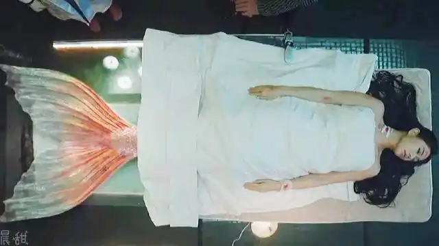 这么漂亮的美人鱼,人类居然抓去做实验