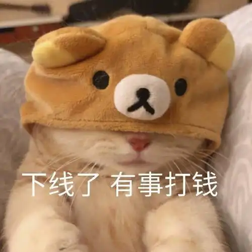 下线了有事打钱猫咪表情包打钱猫咪表情